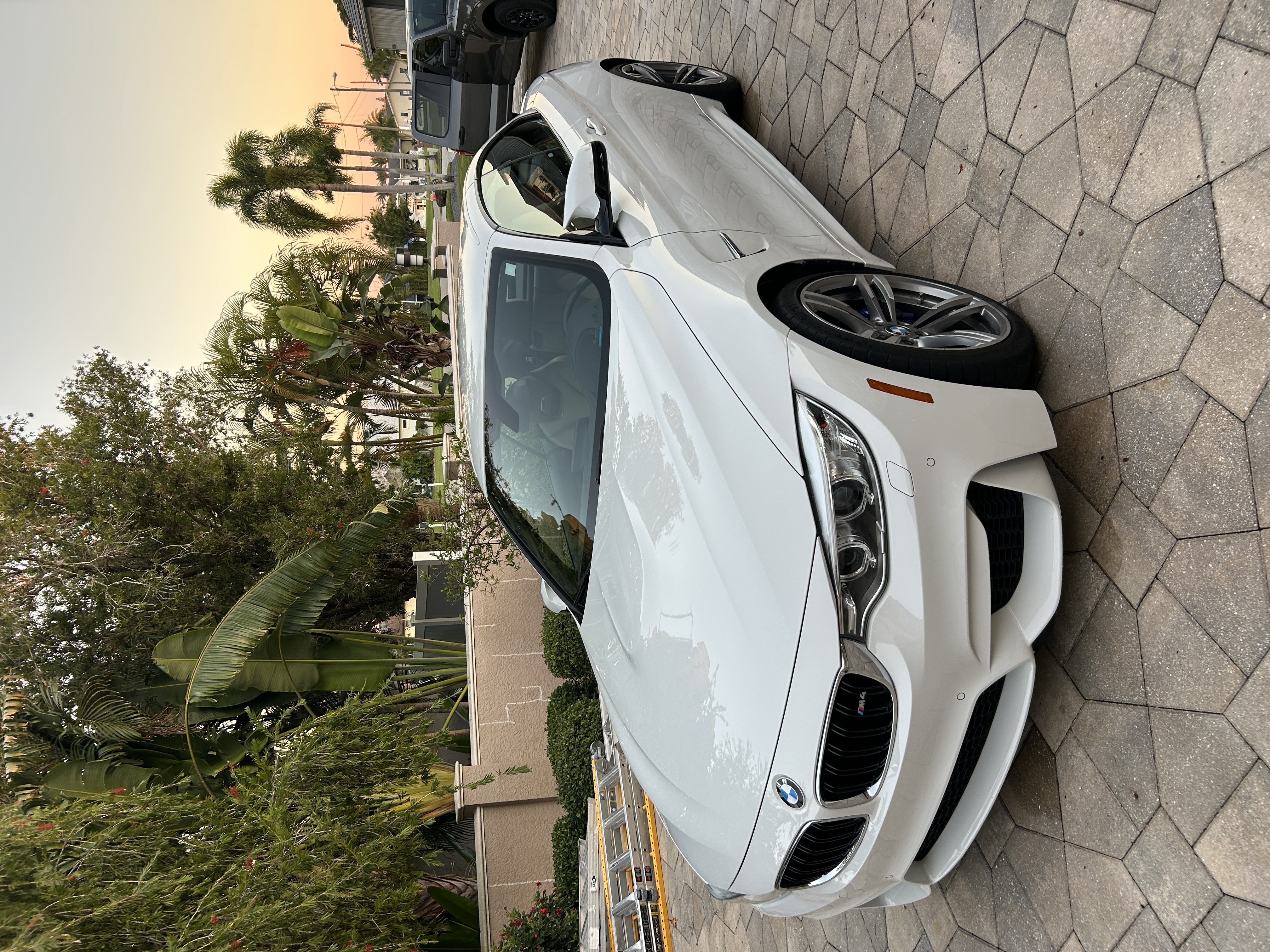 BMW M4 after detail — gleaming finish