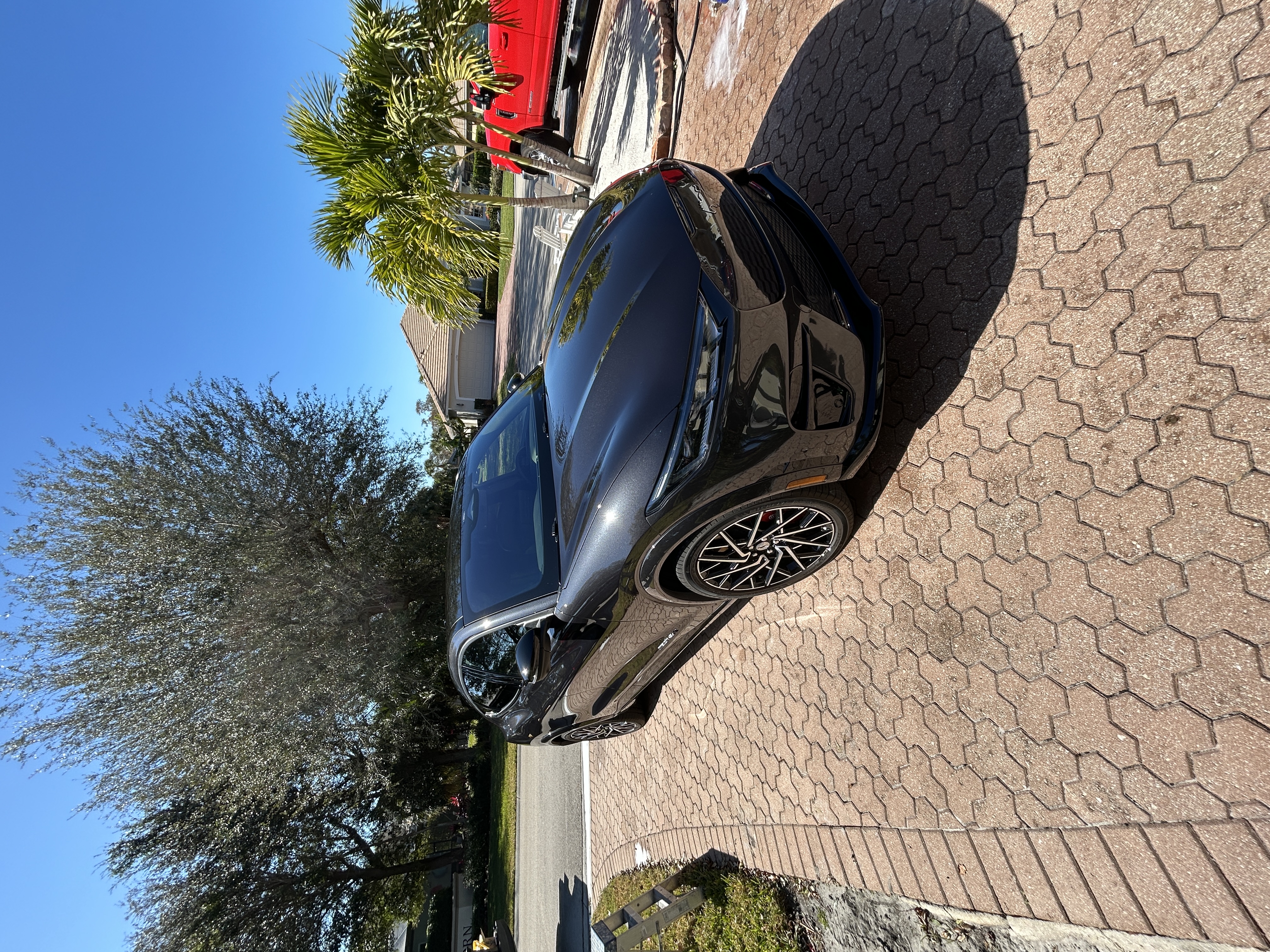 Ford Mustang Mach-E after exterior detail